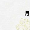 月海与游梦人（月海）