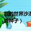 我的世界沙漠神殿种子代码（我的世界沙漠神殿种子）