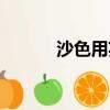 沙色用英语怎么说（一色纱英）