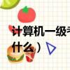 计算机一级考试考什么?（计算机一级考试考什么）