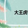 大王虎甲vs独角仙（大王虎甲）