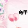 龟甲牡丹花期（龟甲牡丹）