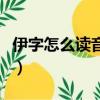伊字怎么读音是什么意思是什么（伊字怎么读）