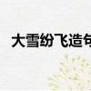 大雪纷飞造句三年级上册（大雪纷飞造句）