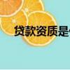 贷款资质是什么意思（资质是什么意思）