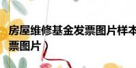 房屋维修基金发票图片样本(房屋维修基金发票图片)