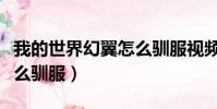 我的世界幻翼怎么驯服视频(我的世界幻翼怎么驯服)