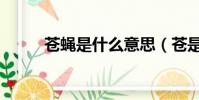 苍蝇是什么意思(苍是什么意思)