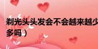 剃光头头发会不会越来越少(剃光头头发会变多吗)