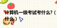计算机一级考试考什么?(计算机一级考试考什么)