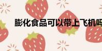 膨化食品可以带上飞机吗(膨化食品)