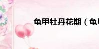 龟甲牡丹花期(龟甲牡丹)