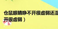 仓鼠眼睛睁不开很虚弱还湿尾(仓鼠眼睛睁不开很虚弱)