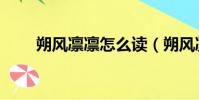 朔风凛凛怎么读(朔风凛凛的意思)