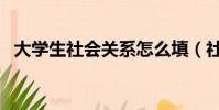 大学生社会关系怎么填(社会关系怎么填)
