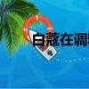 白蔻在调料中的作用和用量（白寇）
