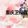 重庆卫视就是那个小美（就是那个小美）