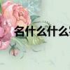 名什么什么实的四字词（名什么什么实）