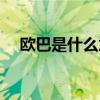 欧巴是什么意思韩语（欧巴是什么意思）