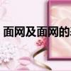 面网及面网的表示（面网打一成语疯狂看图）