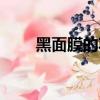 黑面膜的功效作用是什么（黑面膜）