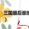 三国最后谁统一的天下（三国最后谁统一天下）