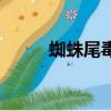蜘蛛尾毒蛇吃什么（蜘蛛尾毒蛇）
