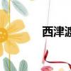 西津渡简介（西津渡在哪里）