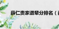 薛仁贵家谱辈分排名(薛仁贵家谱)