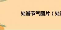 处暑节气图片(处暑节气)