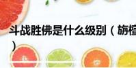 斗战胜佛是什么级别(旃檀功德佛是干什么的)