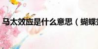马太效应是什么意思(蝴蝶效应是什么意思)