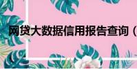 网贷大数据信用报告查询(信用报告查询)