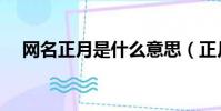 网名正月是什么意思(正月是什么意思)