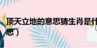 顶天立地的意思猜生肖是什么(顶天立地的意思)