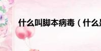 什么叫脚本病毒(什么是脚本病毒)