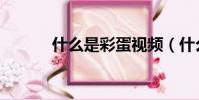 什么是彩蛋视频(什么是彩蛋)