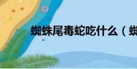 蜘蛛尾毒蛇吃什么(蜘蛛尾毒蛇)