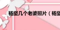杨坚几个老婆照片(杨坚有几个老婆)