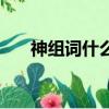 神组词什么的什组词（什么的什组词）