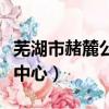 芜湖市赭麓公馆属于哪个社区（赭麓公共服务中心）