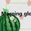 Morning glory flower（morning glory）