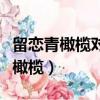 留恋青橄榄对你的人生观有什么启示（留恋青橄榄）