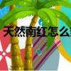 天然南红怎么辨别真假（南红怎么辨别真假）