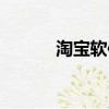 淘宝软件有限公司（淘宝软件）