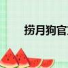 捞月狗官方网站（捞月狗是干嘛的）