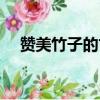 赞美竹子的古诗四句（赞美竹子的古诗）