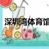 深圳湾体育馆演唱会2023（深圳湾体育馆）