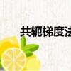 共轭梯度法的搜索方向（共轭梯度法）