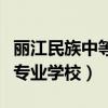 丽江民族中等专业学校取分线（丽江民族中等专业学校）